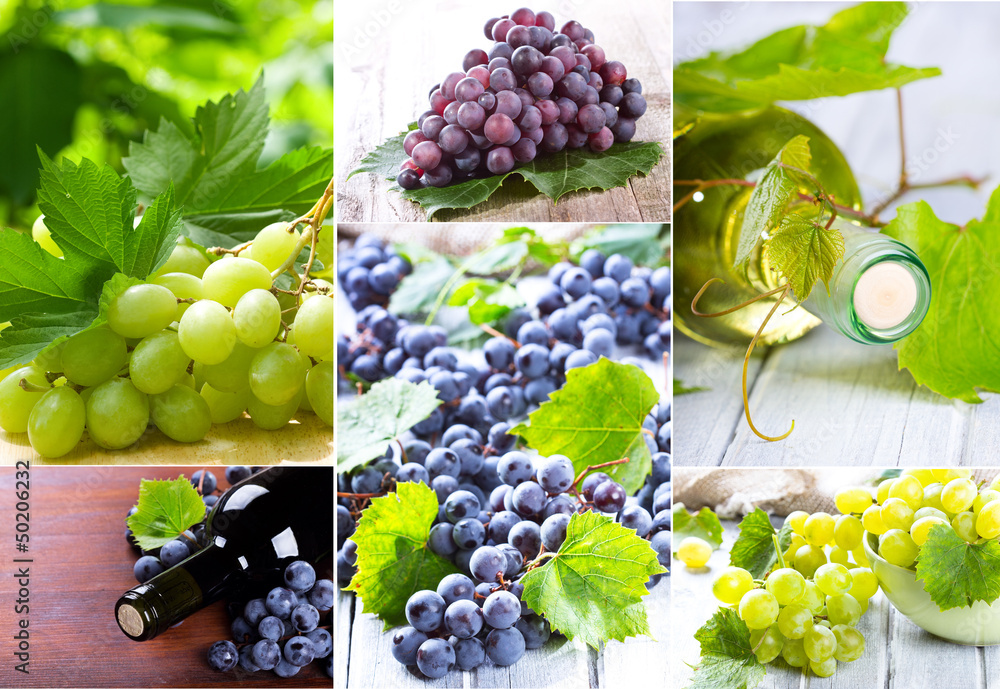 Fototapeta premium grape collage