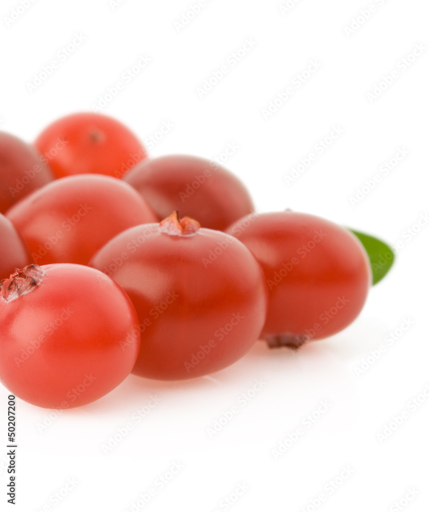 ripe cranberry on white ripe cranberry on white