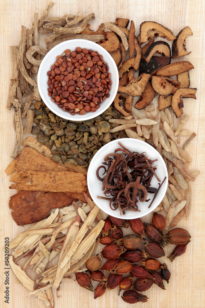 Herbal Medicine Herbal Medicine