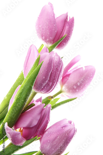 Fototapeta Naklejka Na Ścianę i Meble -  Beautiful bouquet of purple tulips, isolated on white