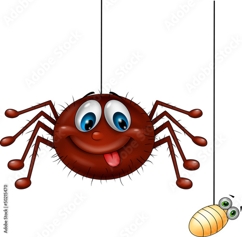 Spider and prey