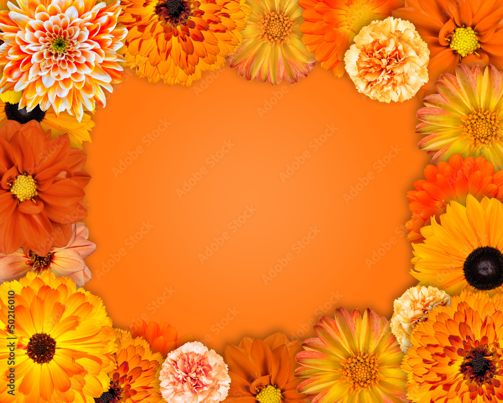 Obraz premium Flower Frame with Orange Flowers