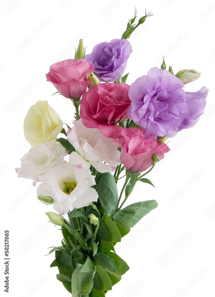 posy of multicolor eustoma flowers