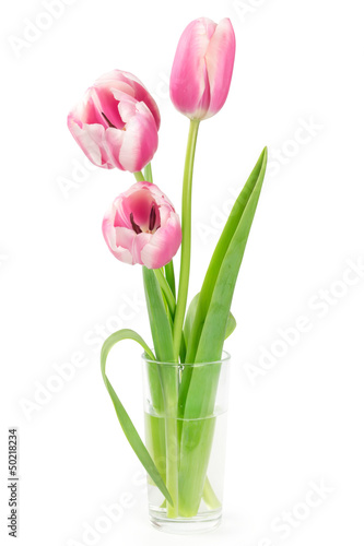 Three pink tulips in a vase © Nataliia Pyzhova