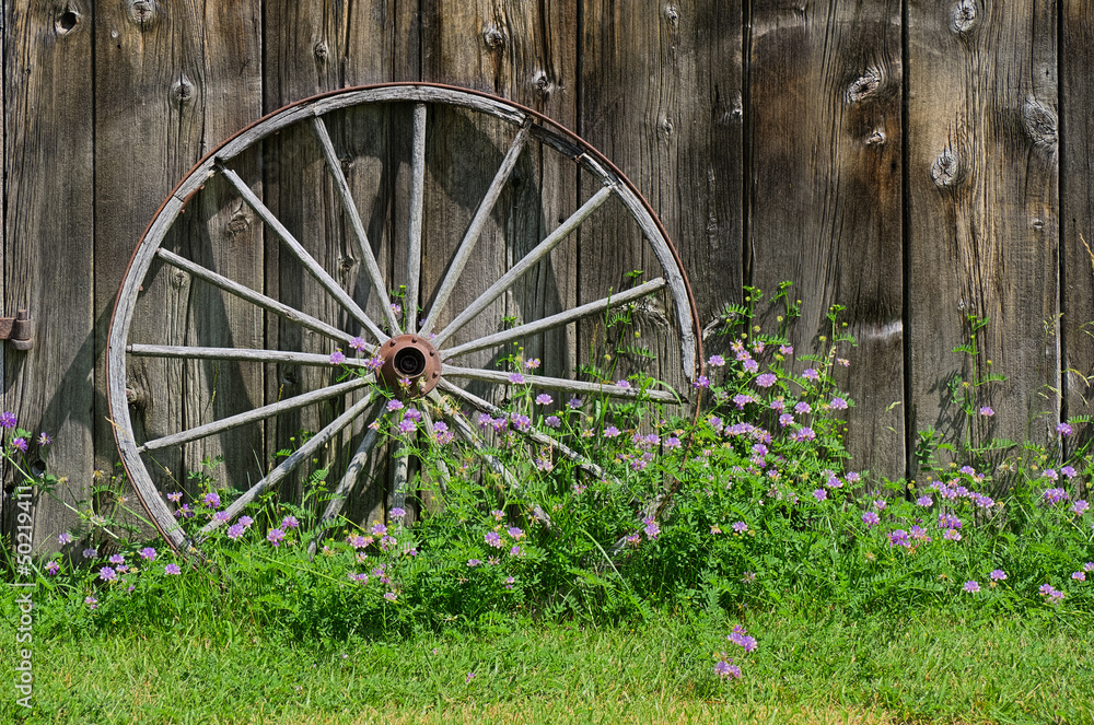 Wooden Wheel against Barn Wall