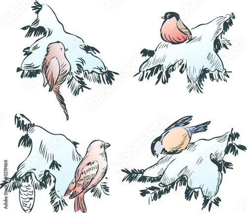birds on the branches
