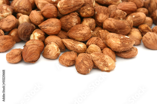 Many hazel nuts on white background