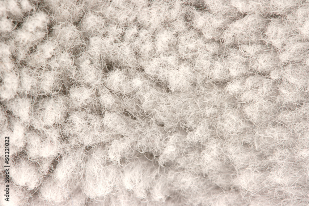 Fur texture detail Fur texture detail
