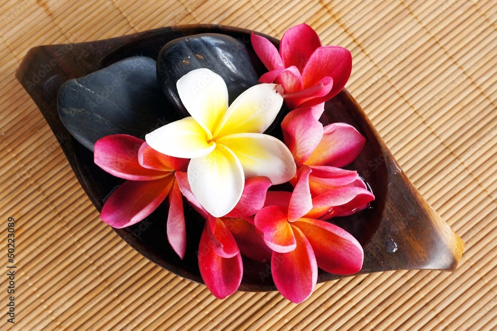 Wellness spa & aromatherapy concept with frangipani flower Wellness spa & aromatherapy concept with frangipani flower