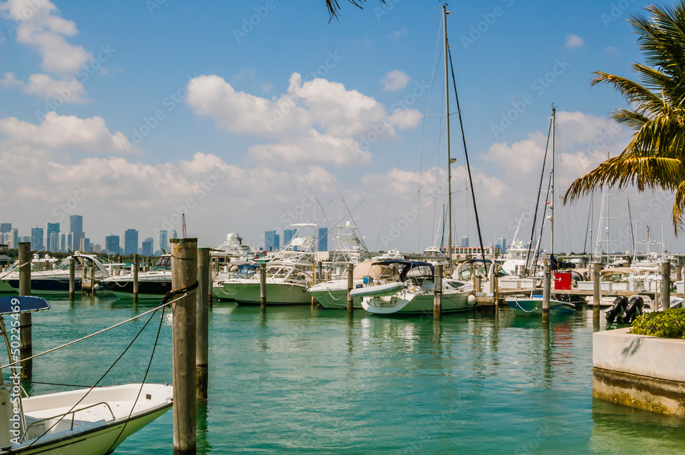 Yachts in Miami Beach Harbour
