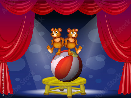 A circus show with two bears