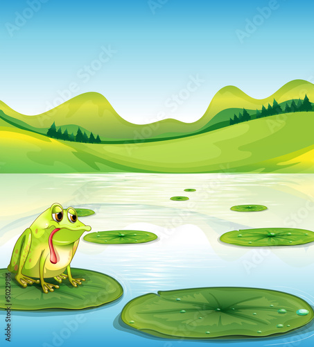 A hungry frog above the waterlily
