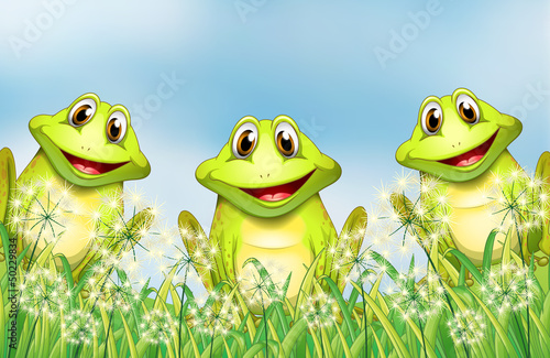 Three happy frogs in the garden