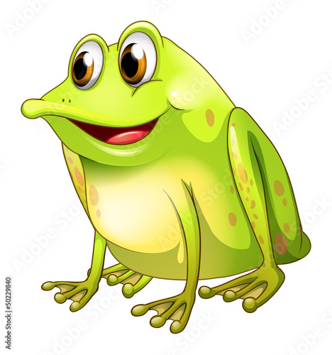A green bullfrog