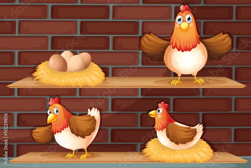 Positions of a hen laying eggs