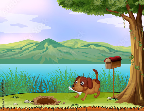 A dog with a bone beside a wooden mailbox