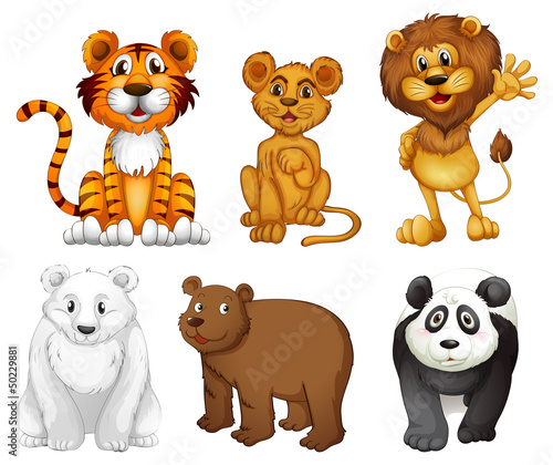 Six wild animals