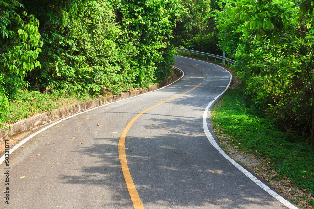 Curve asphalt road view in National Park. Curve asphalt road view in National Park.