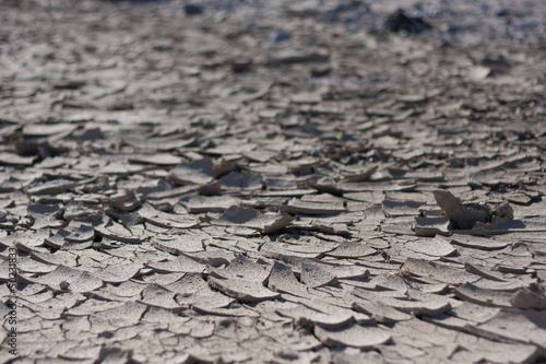 Parched Earth