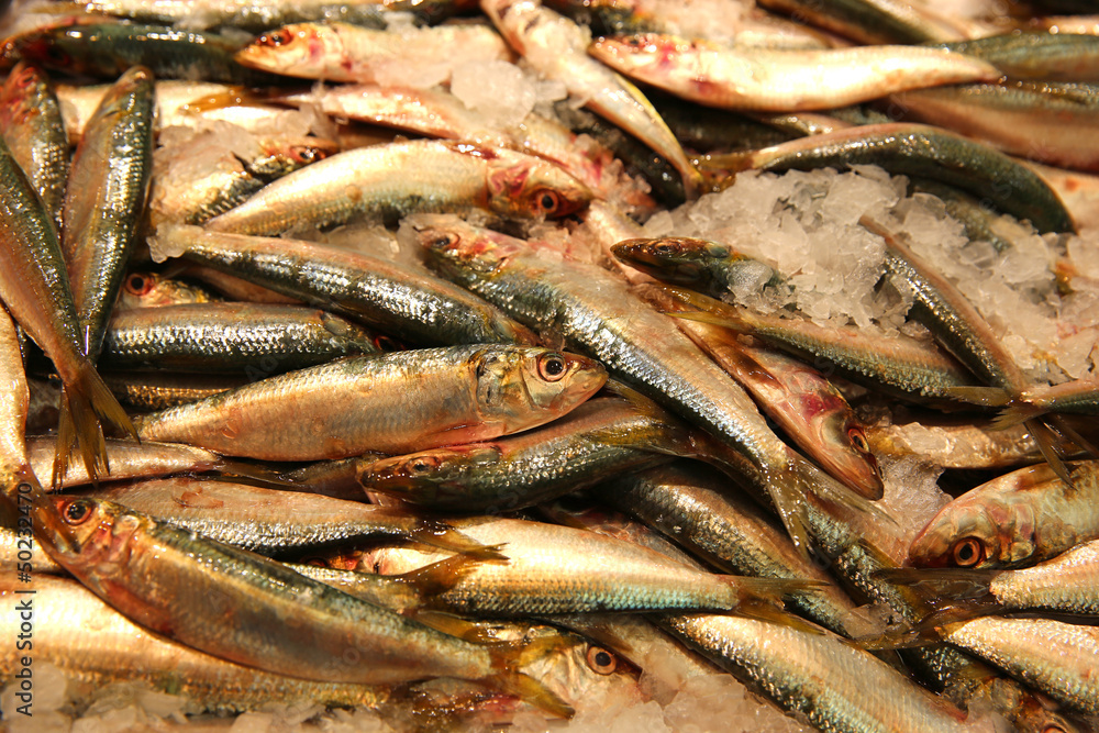 Obraz premium Fischmarkt. Sydney