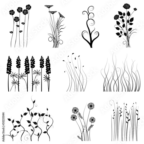 collection for designers, plant vector