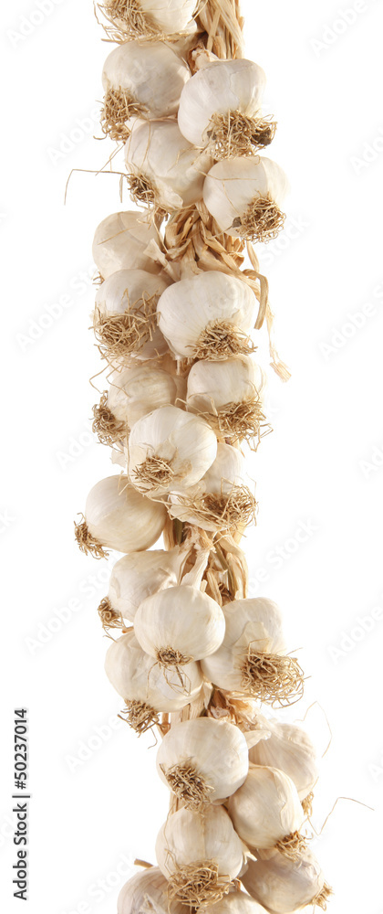 Obraz premium Twisted wreath of garlic