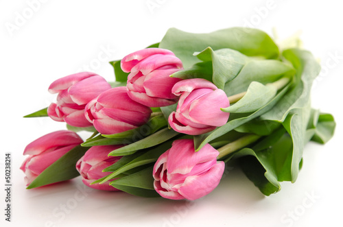 Fototapeta Naklejka Na Ścianę i Meble -  Tulips