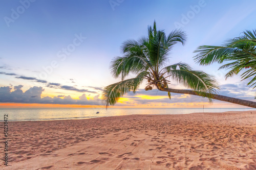 Fototapeta Naklejka Na Ścianę i Meble -  Sunset under tropical coconut palm tree in Thailand