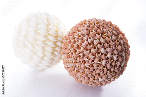 dos esferas hechas con conchas