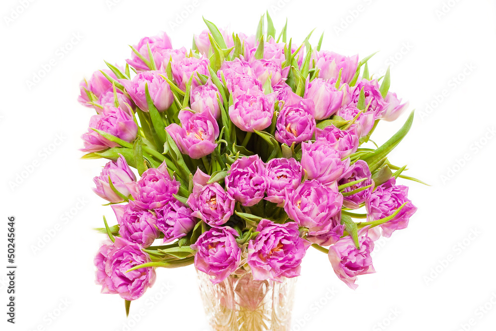 Obraz premium Beautiful purple tulips 