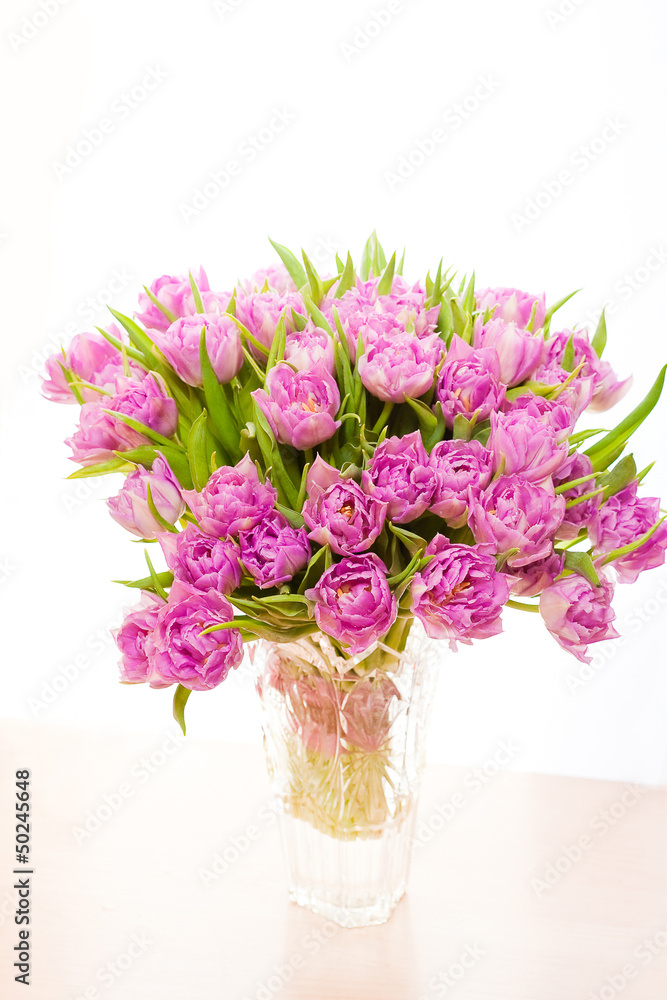 Beautiful purple tulips Beautiful purple tulips