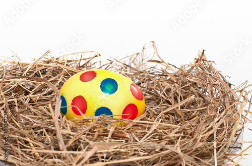 Nest with easter egg isolated over white background