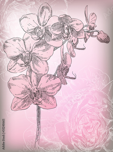 Hand drawing orchid flower