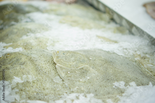 European plaices on table with ice in supermarket photo