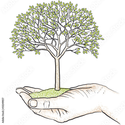 albero in mano