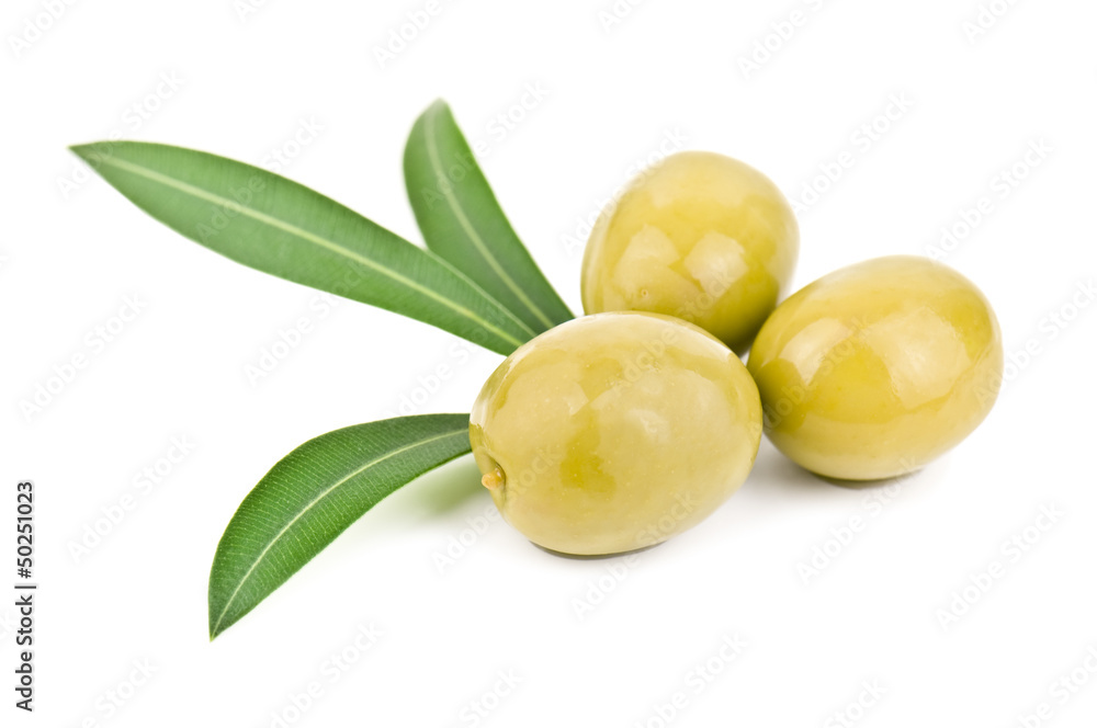 olives and leaves olives and leaves