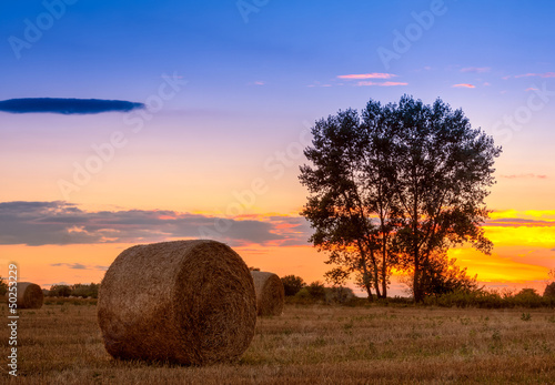 Sunset field, tree and hay bale