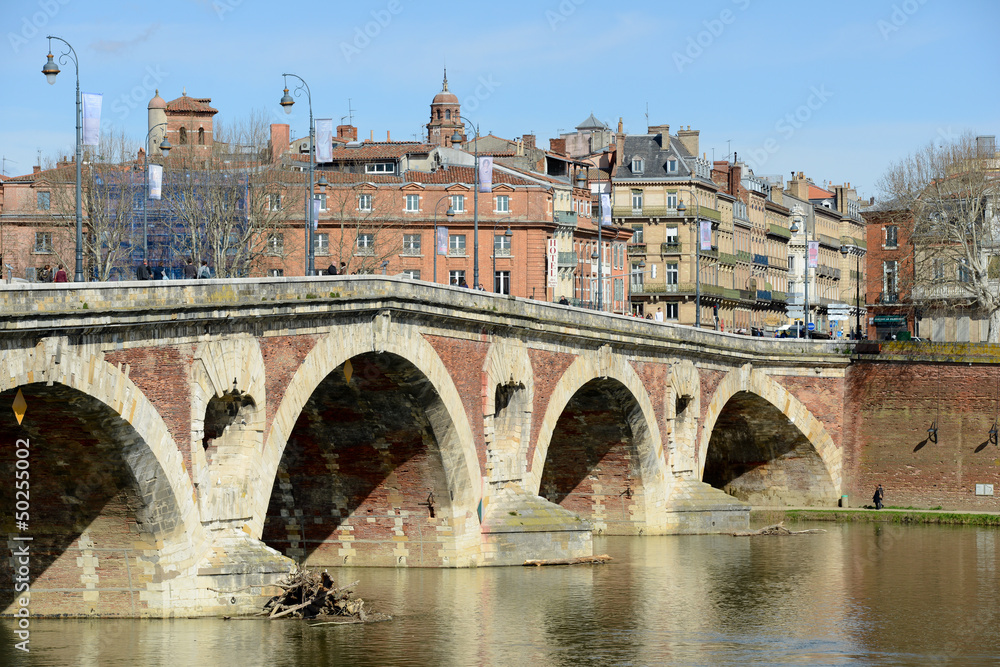 Naklejka premium Promenade quais de la Garonne à Toulouse