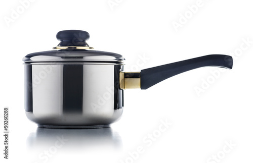 Stainless Steel Pot