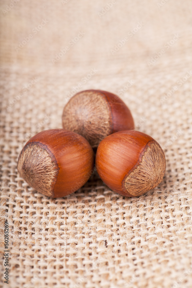 Obraz premium Hazelnuts