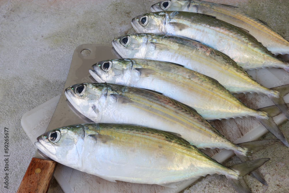 Fresh fish on the chopping block Fresh fish on the chopping block