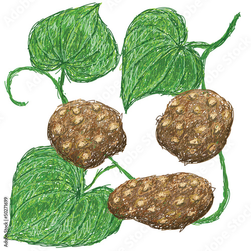 air potato