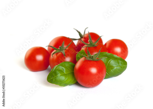 Tomaten mit Basilikum Freisteller I
