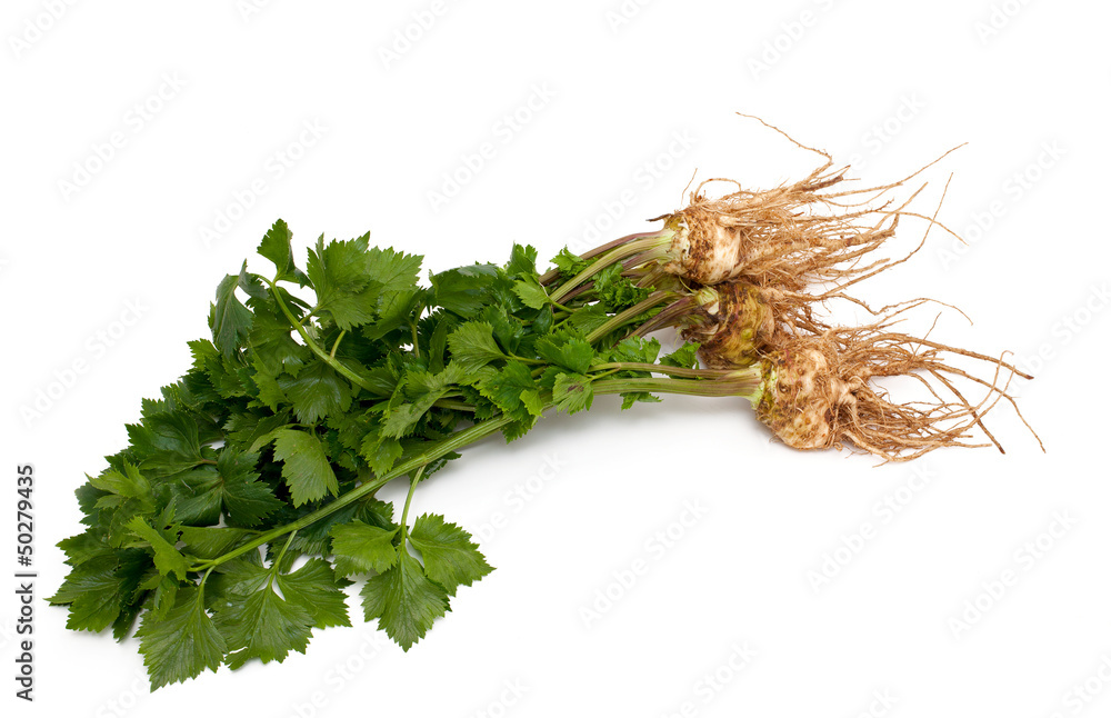 Fototapeta premium celery
