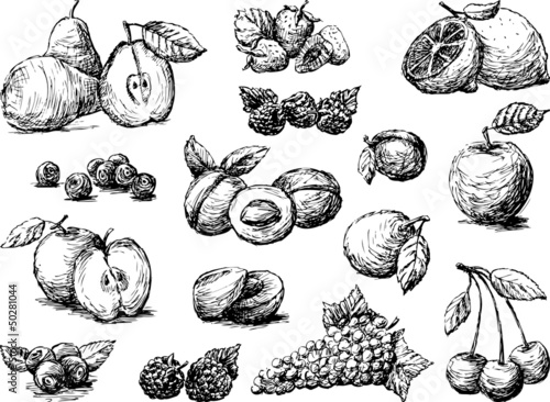 Fruit