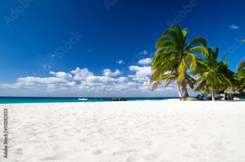 Beach and Palm tree © Pakhnyushchyy