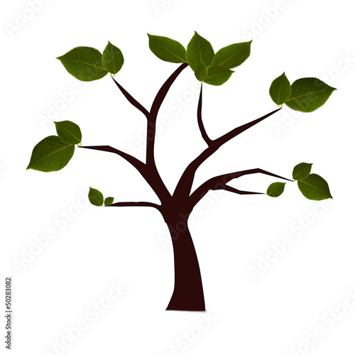 árbol aislado con hojas verdes