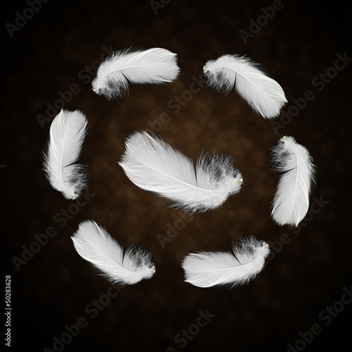 Set of white feathers