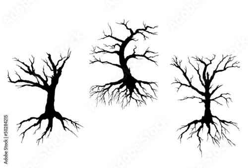 Dead trees with stem and roots