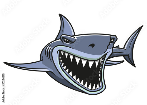 Danger shark attacks